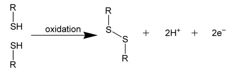 Di-sulphide bond