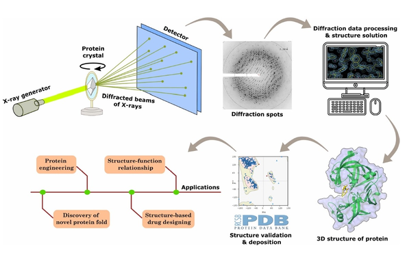 xray crystallography