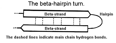 bets hairpin turn