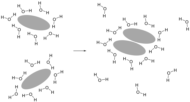 Hydrophobic effect