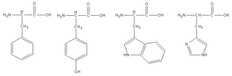 phenylalanine, tyrosine, tryptophan, and histidine