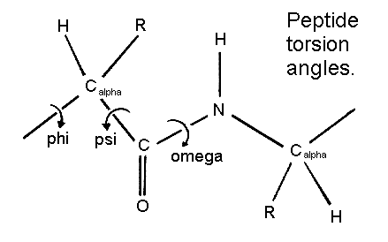 torsion